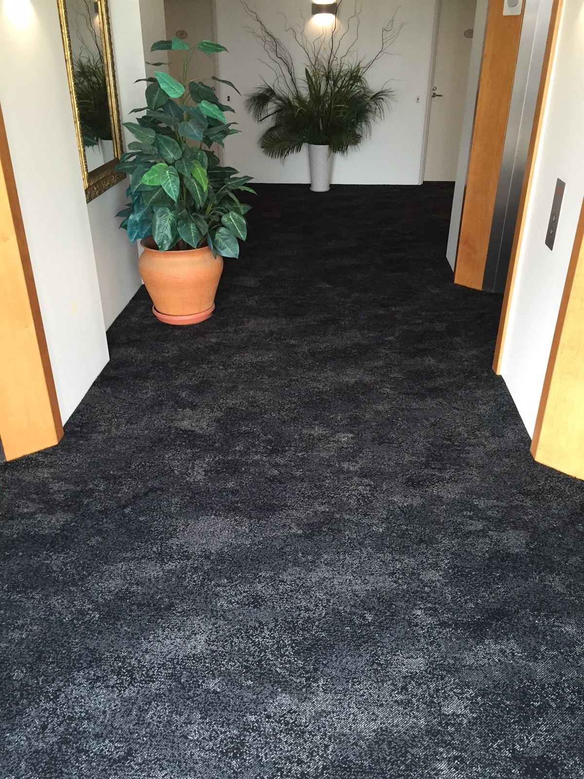 Custom carpet in an apartment building corridor
