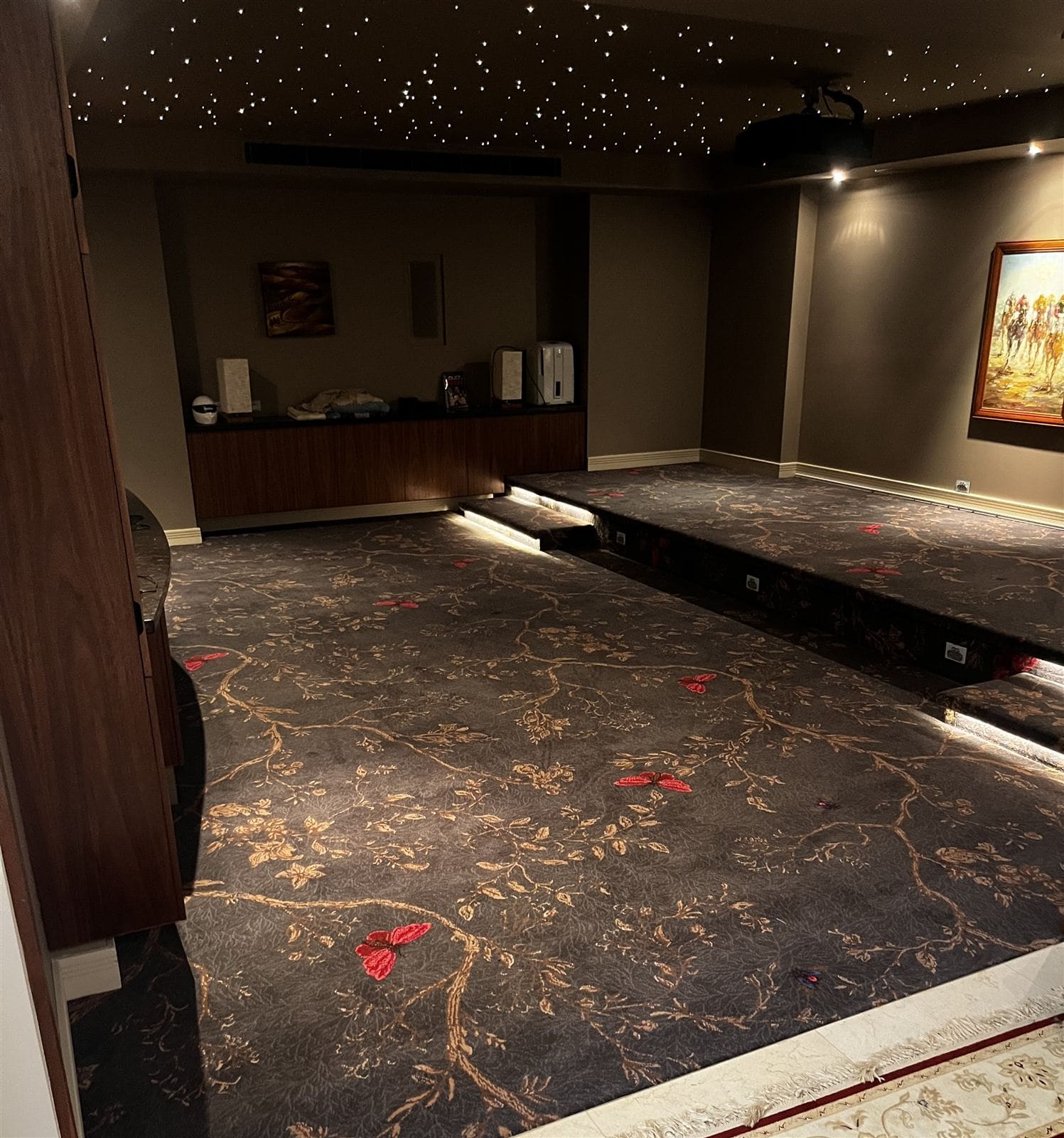 Dark patterned carpet in a home cinema with a tiered floor