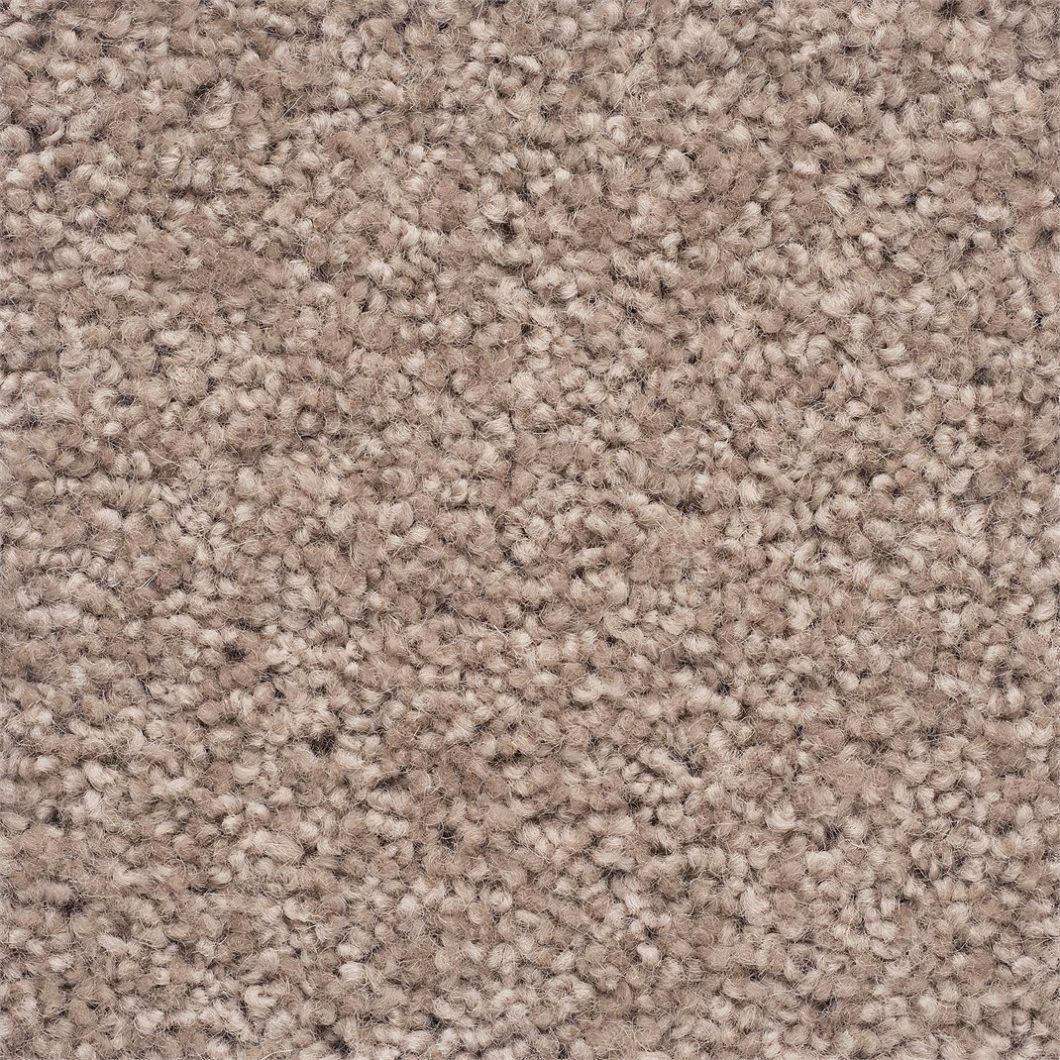 loop carpet
